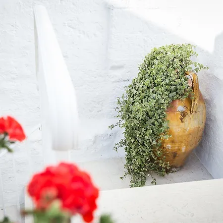 Bed & Breakfast Vico Marina 3*